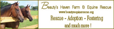 Beayty Haven Rescue